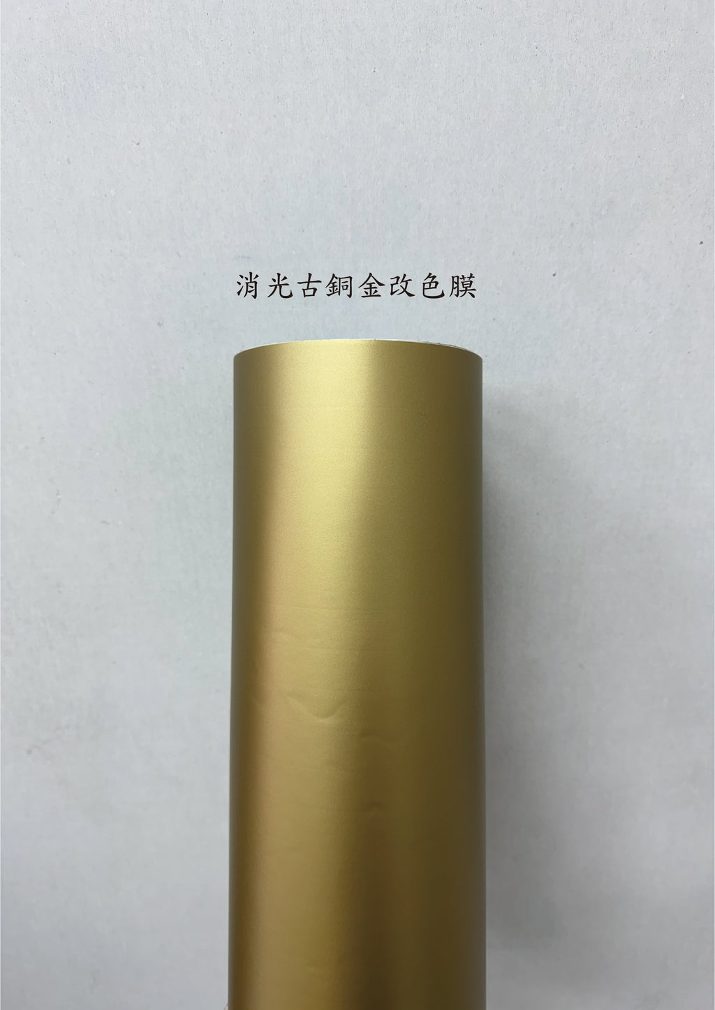 AGV PISTA GP RR 進氣、防水、裝飾貼紙　犀牛皮