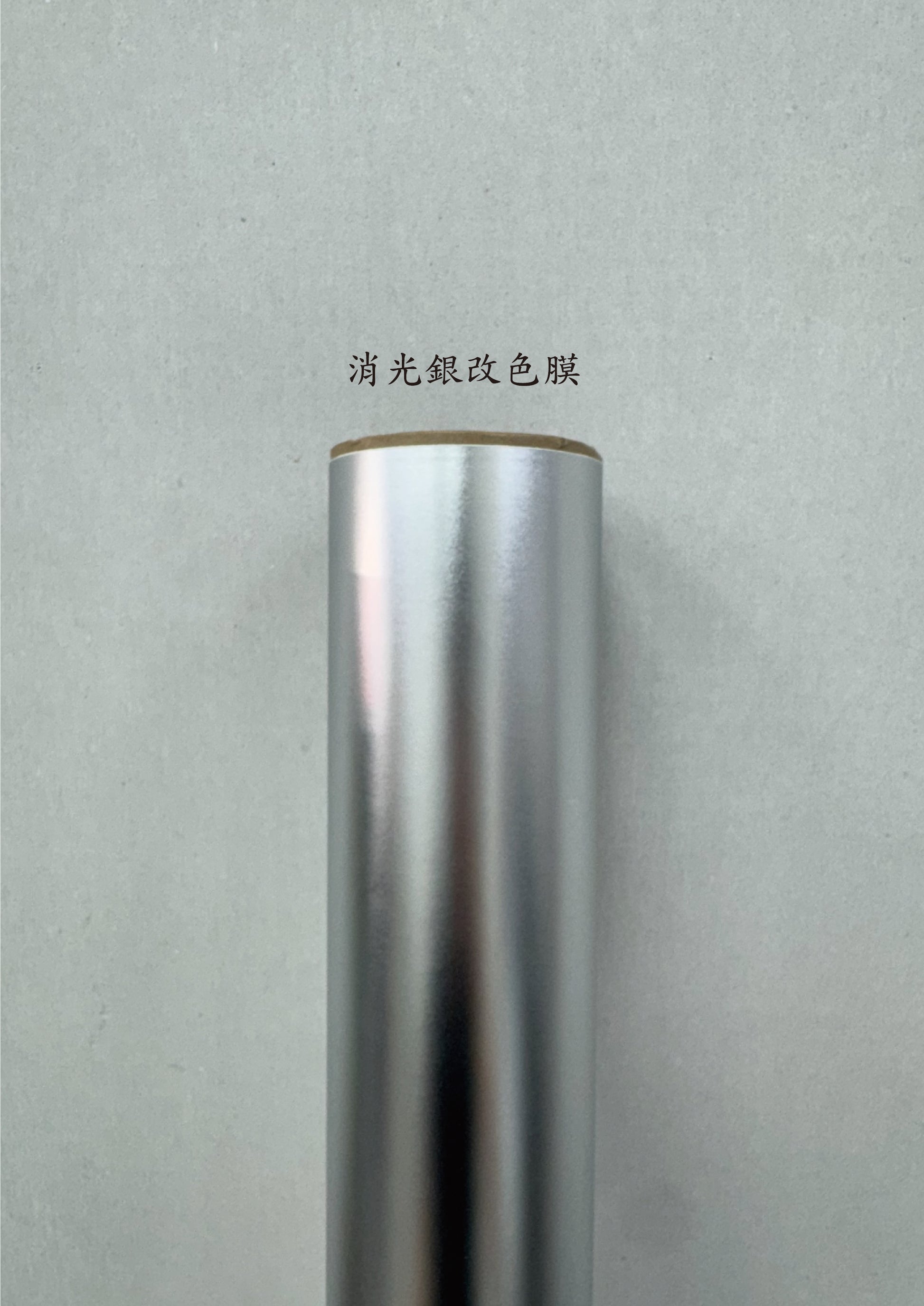 AGV PISTA GP RR 進氣、防水、裝飾貼紙　犀牛皮