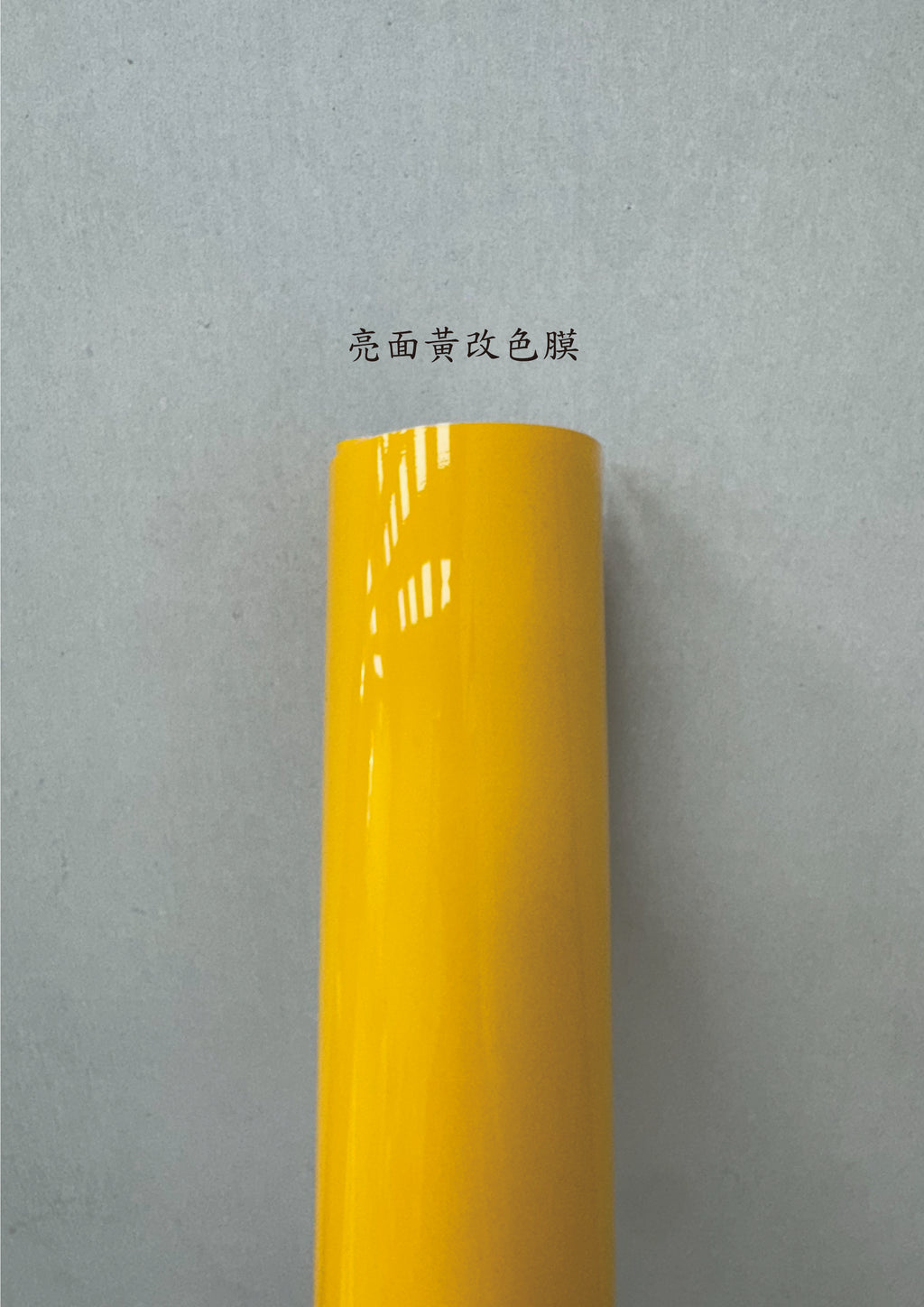 AGV PISTA GP RR 進氣、防水、裝飾貼紙　犀牛皮