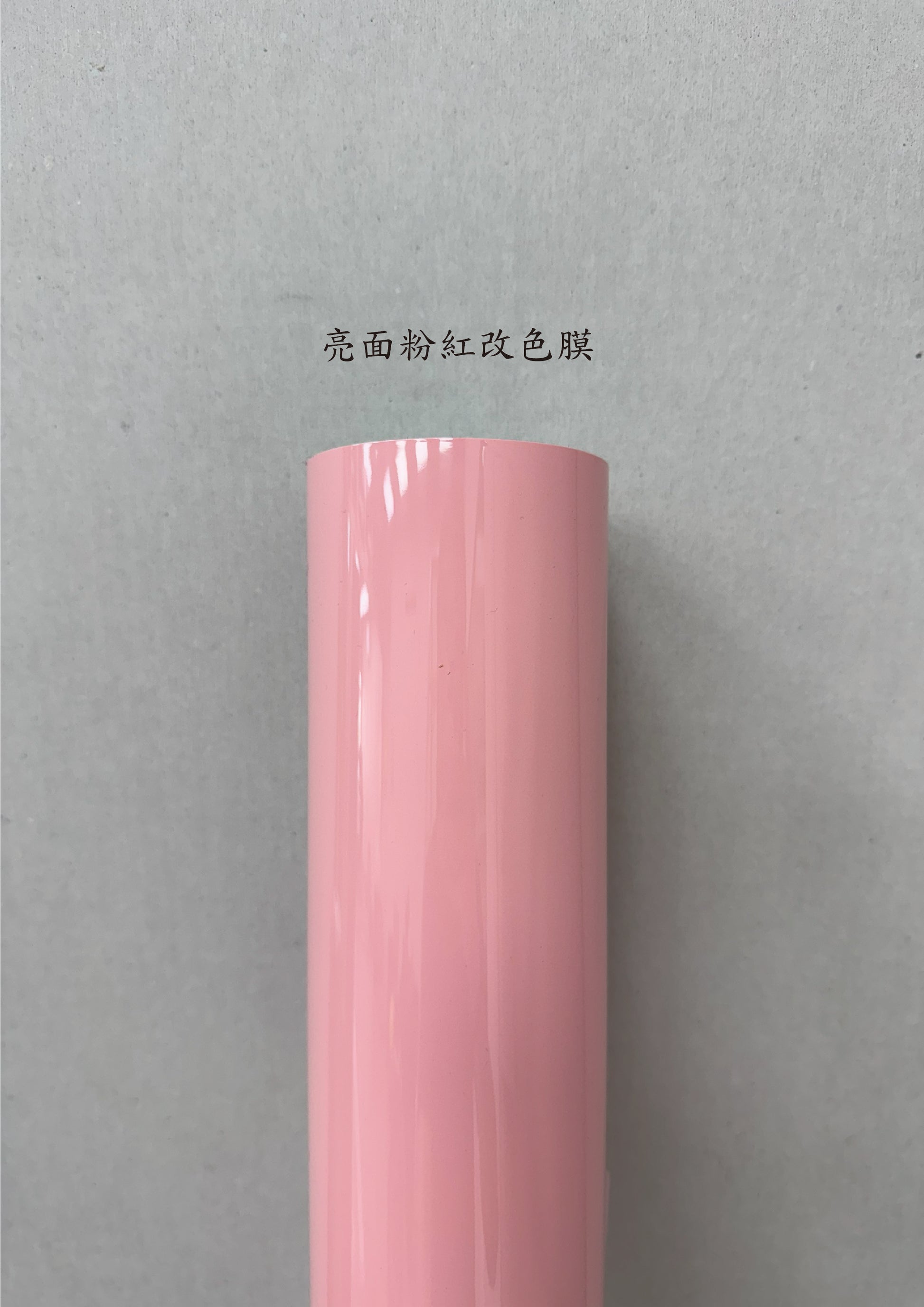 AGV PISTA GP RR 進氣、防水、裝飾貼紙　犀牛皮