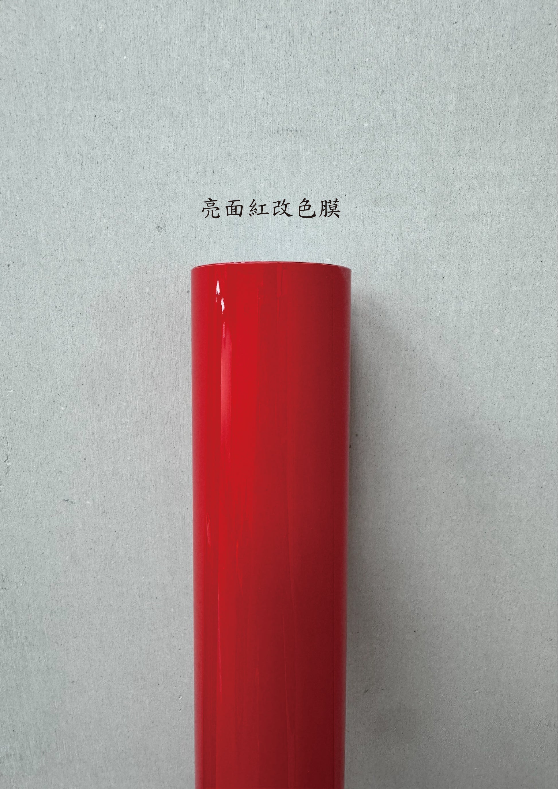 AGV PISTA GP RR 進氣、防水、裝飾貼紙　犀牛皮