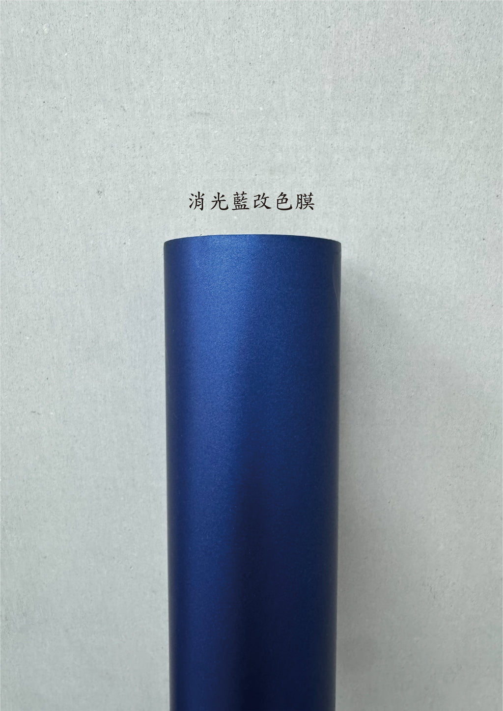 AGV PISTA GP RR 進氣、防水、裝飾貼紙　犀牛皮