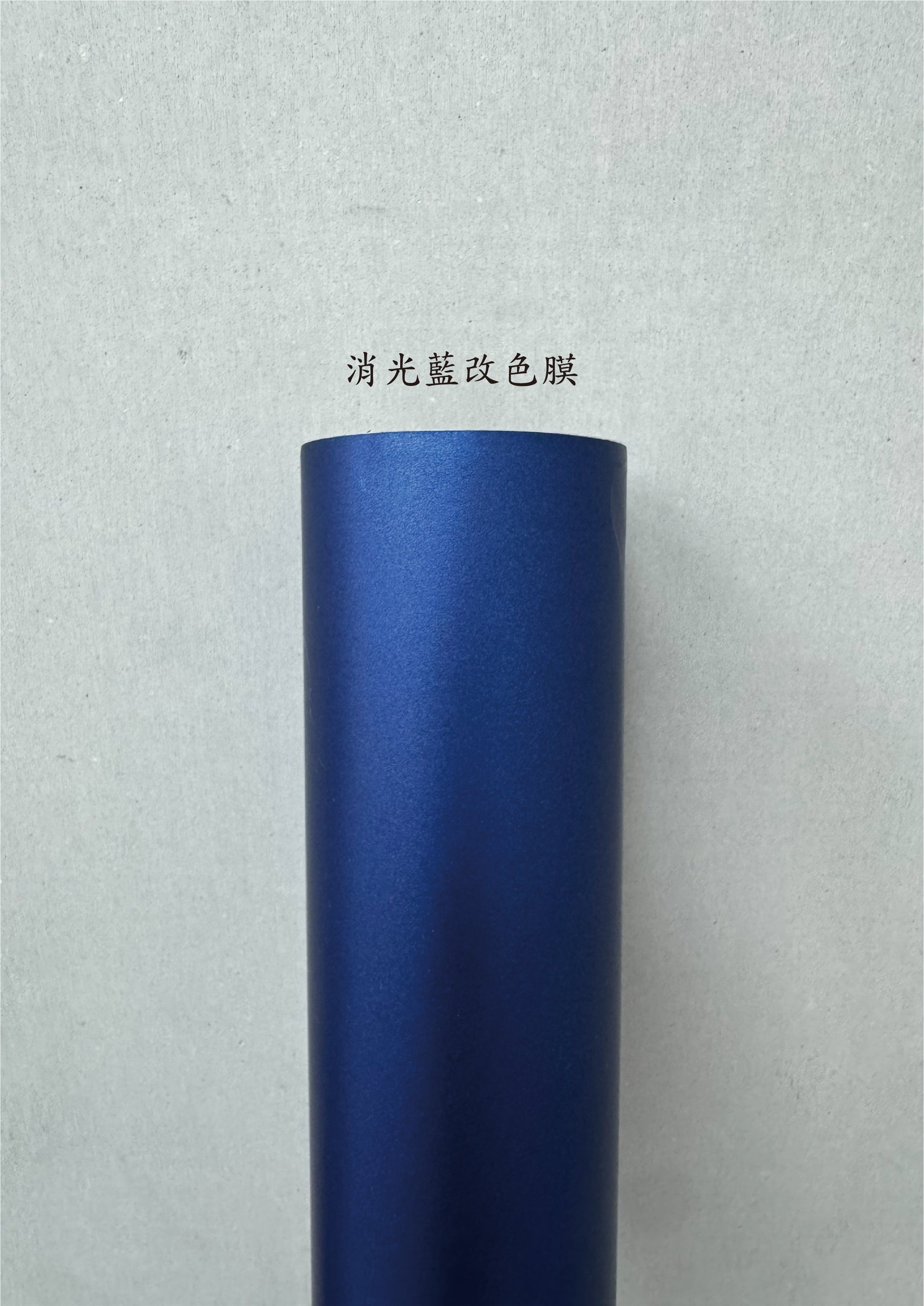 AGV PISTA GP RR 進氣、防水、裝飾貼紙　犀牛皮