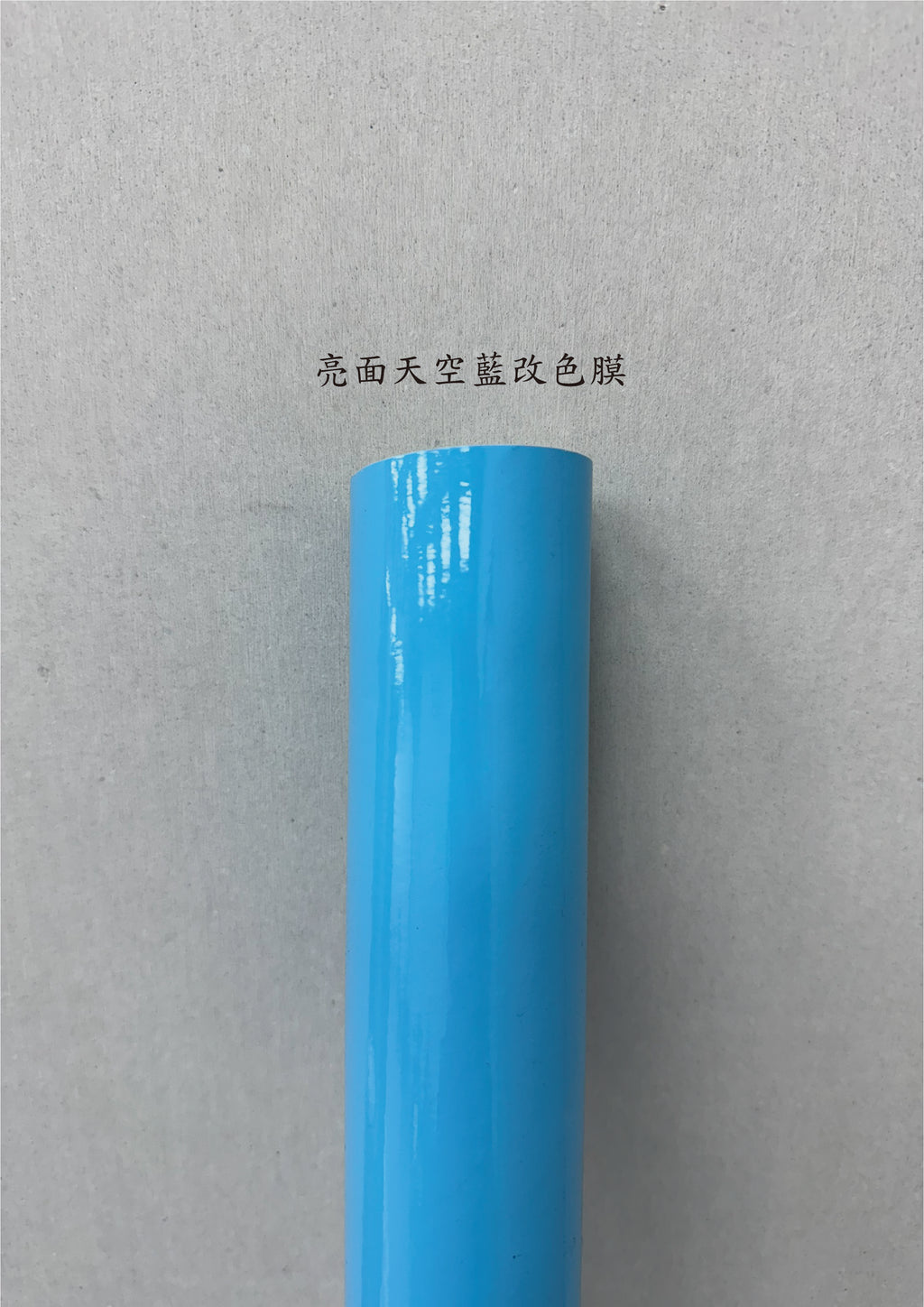 AGV PISTA GP RR 進氣、防水、裝飾貼紙　犀牛皮