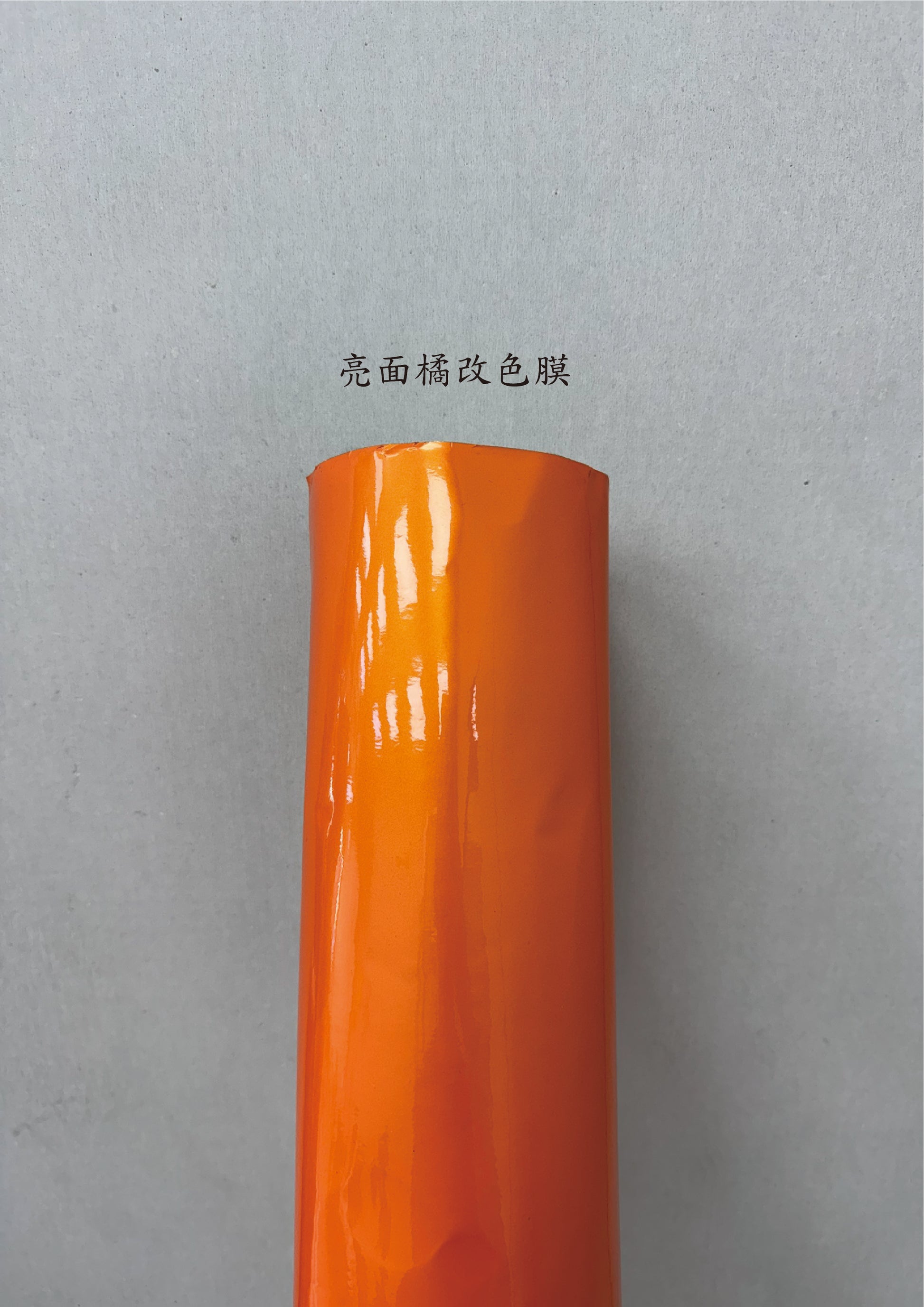 AGV PISTA GP RR 進氣、防水、裝飾貼紙　犀牛皮