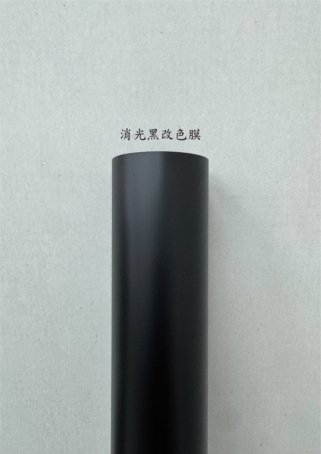 AGV PISTA GP RR 進氣、防水、裝飾貼紙　犀牛皮