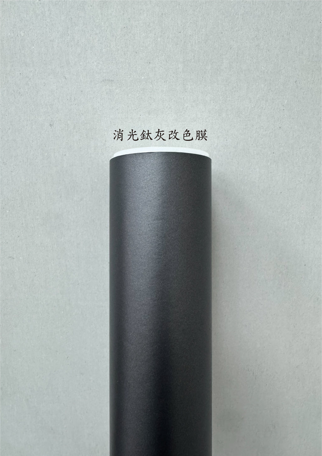 AGV PISTA GP RR 進氣、防水、裝飾貼紙　犀牛皮