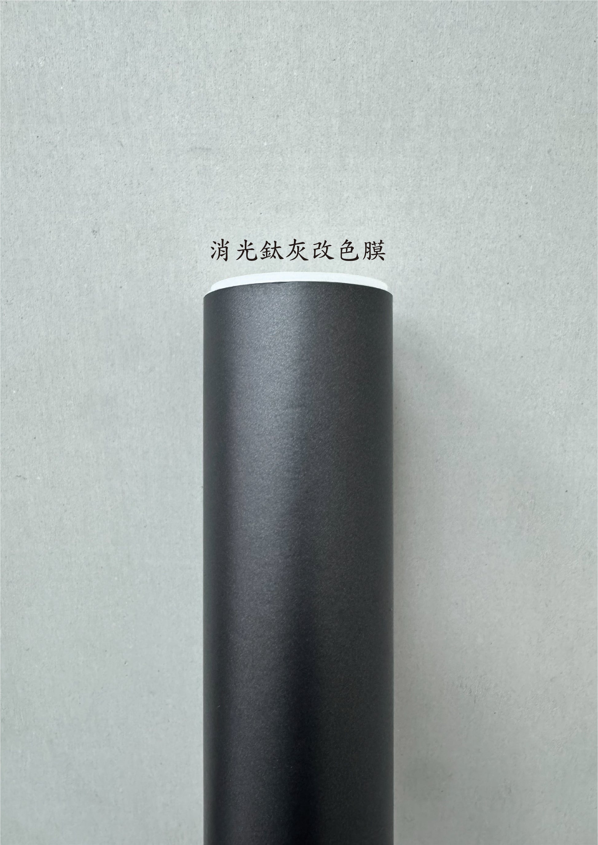 AGV PISTA GP RR 進氣、防水、裝飾貼紙　犀牛皮