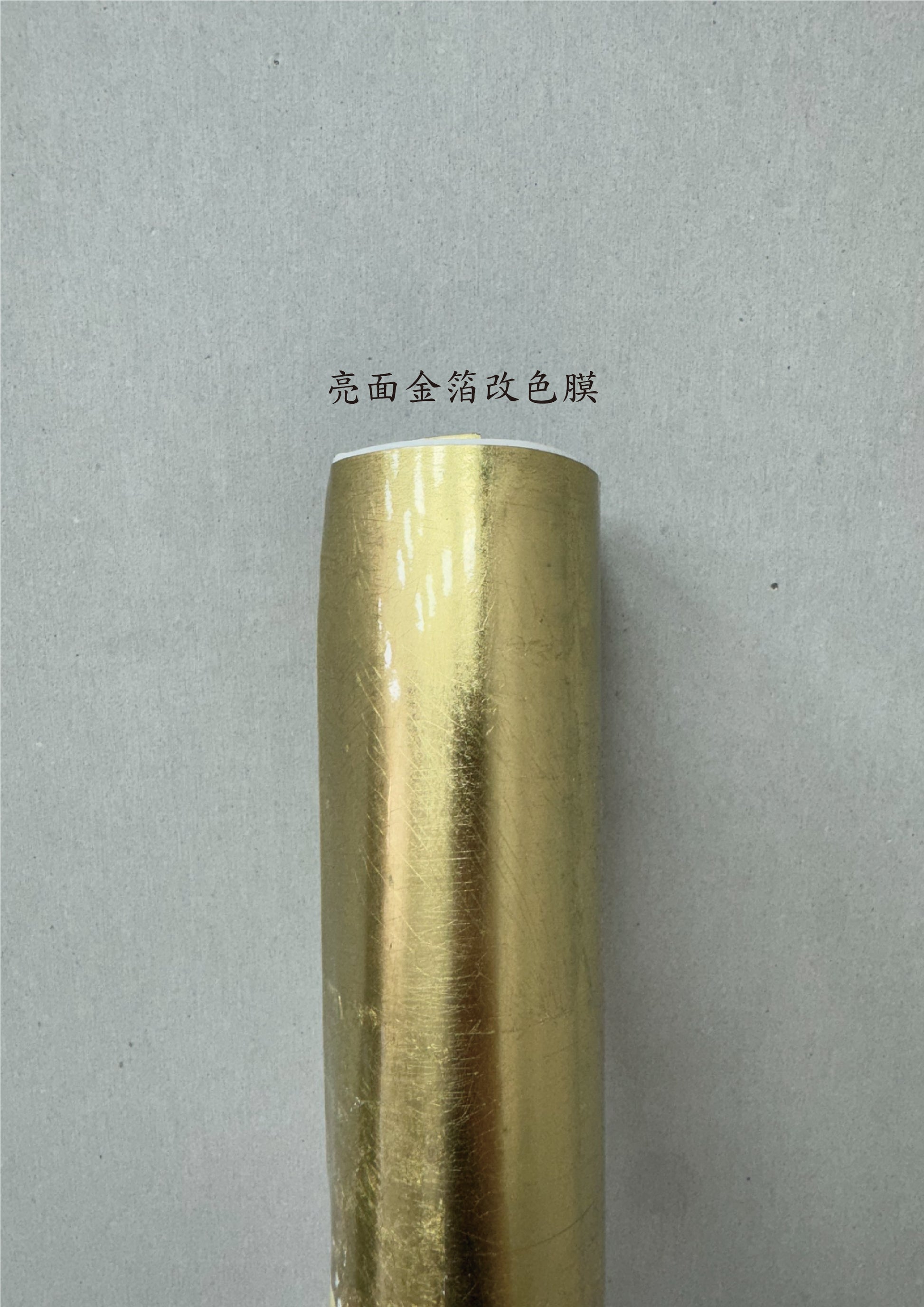 AGV PISTA GP RR 進氣、防水、裝飾貼紙　犀牛皮